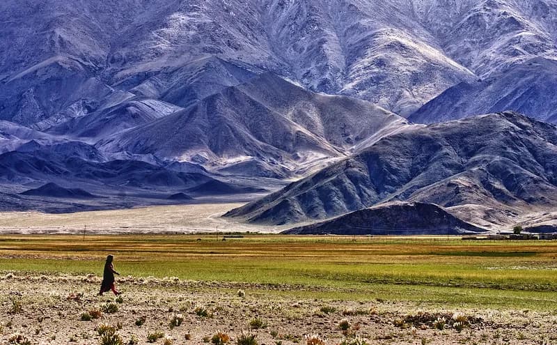 Hanle