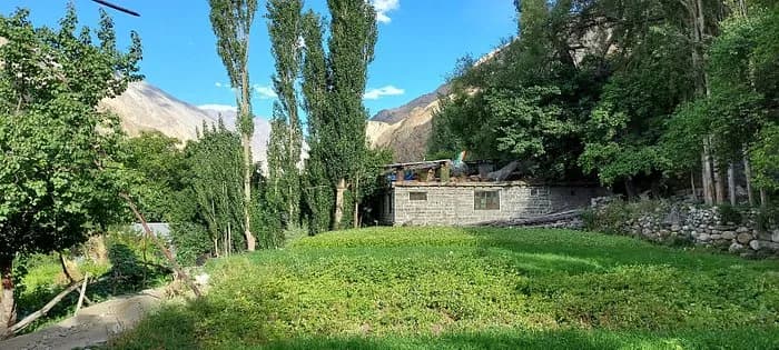 Home Stay Bagdour