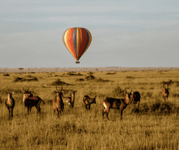Full Day Adventure & Exploration in Masai Mara