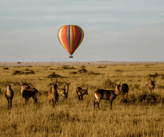 Full Day Adventure & Exploration in Masai Mara