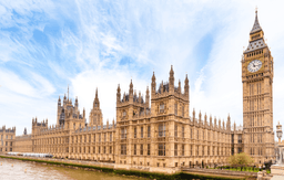 London City Tour