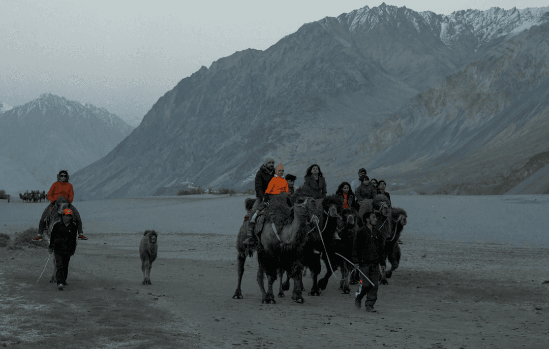 A family in Nubra Valley