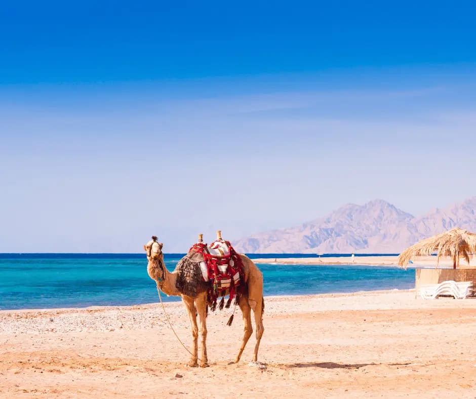 Hurghada