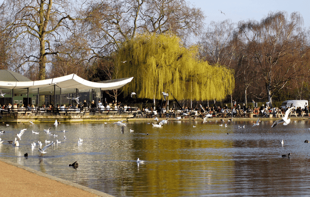 London City Tour