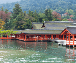 Ferry Excursion and Tour to Miyajima Island 