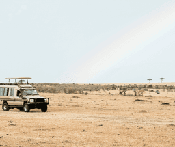 Jaisalmer Sightseeing & Desert Camping Experience