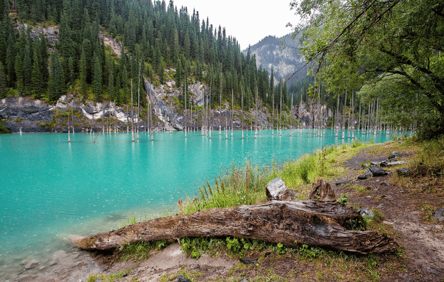 Visit to Kaindy Lake