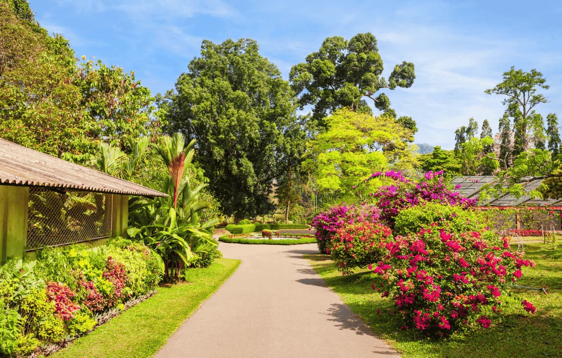 Kandy