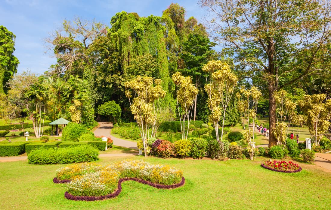Kandy