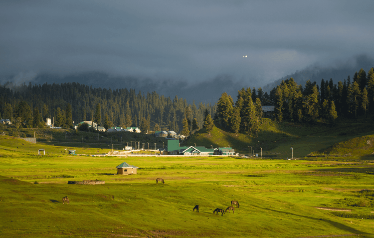 Kashmir