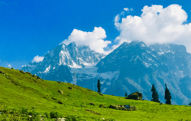 Kashmir