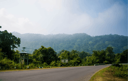 Scenic Drive from Kaziranga to Bhalukpong