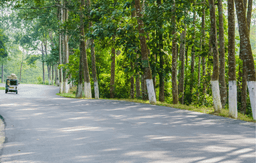 Scenic Drive from Kaziranga to Bhalukpong