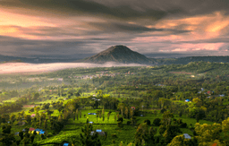 Kintamani + Coffee Plantation + Tegenungan Waterfall + Tegalalang Rice Terrace + Bali Jungle Swing