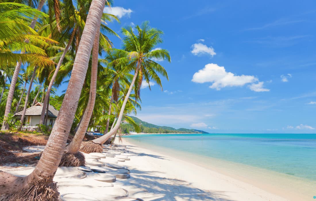Koh Samui