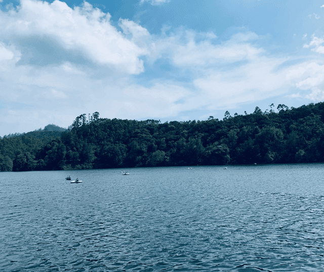 Munnar Hills & Nature Highlights Tour