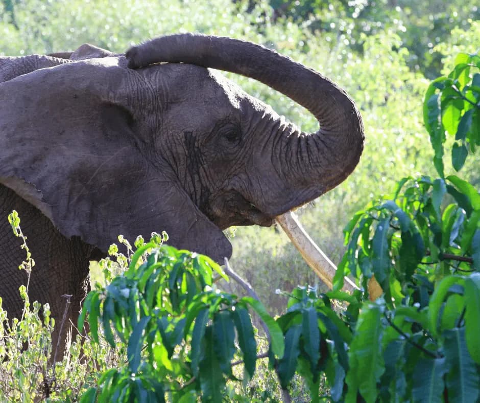 Lake Manyara