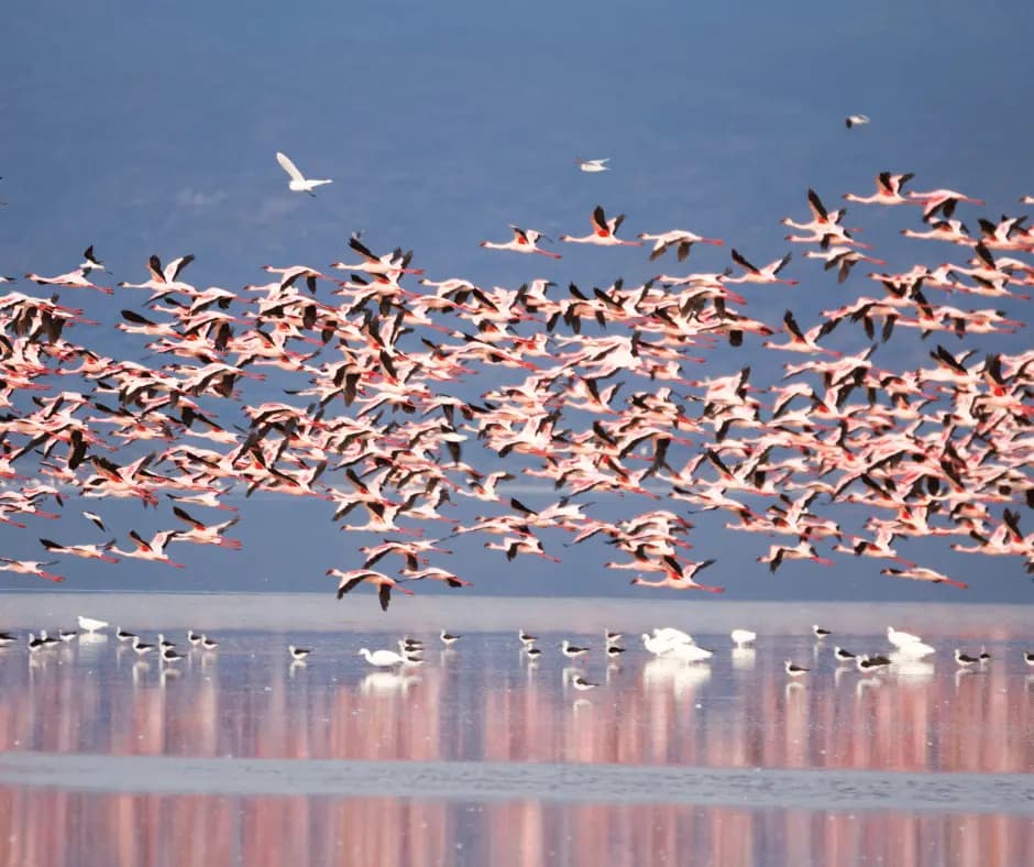 Lake Manyara