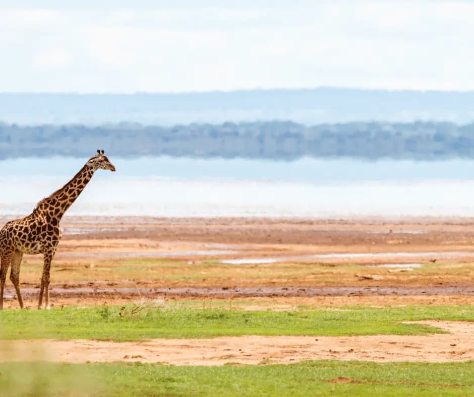 Lake Manyara