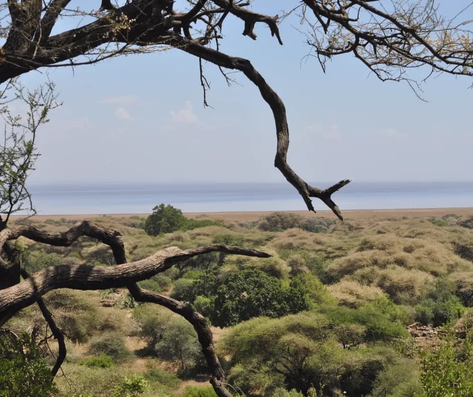 Lake Manyara