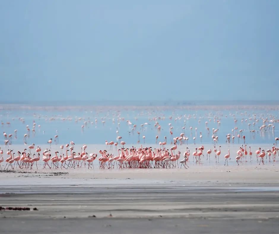 Lake Manyara