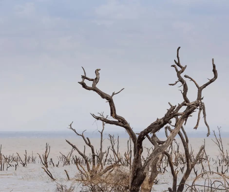 Lake Manyara