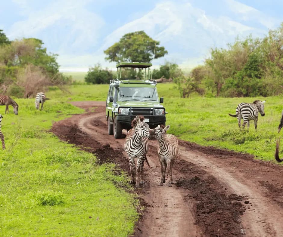 Game drives