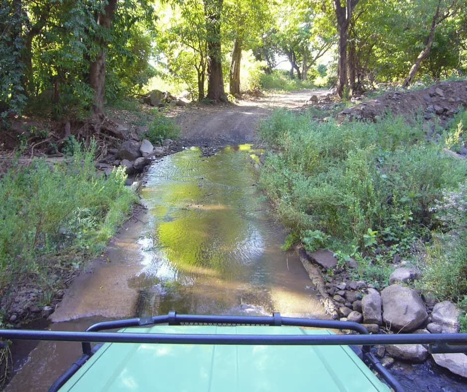 Game drives