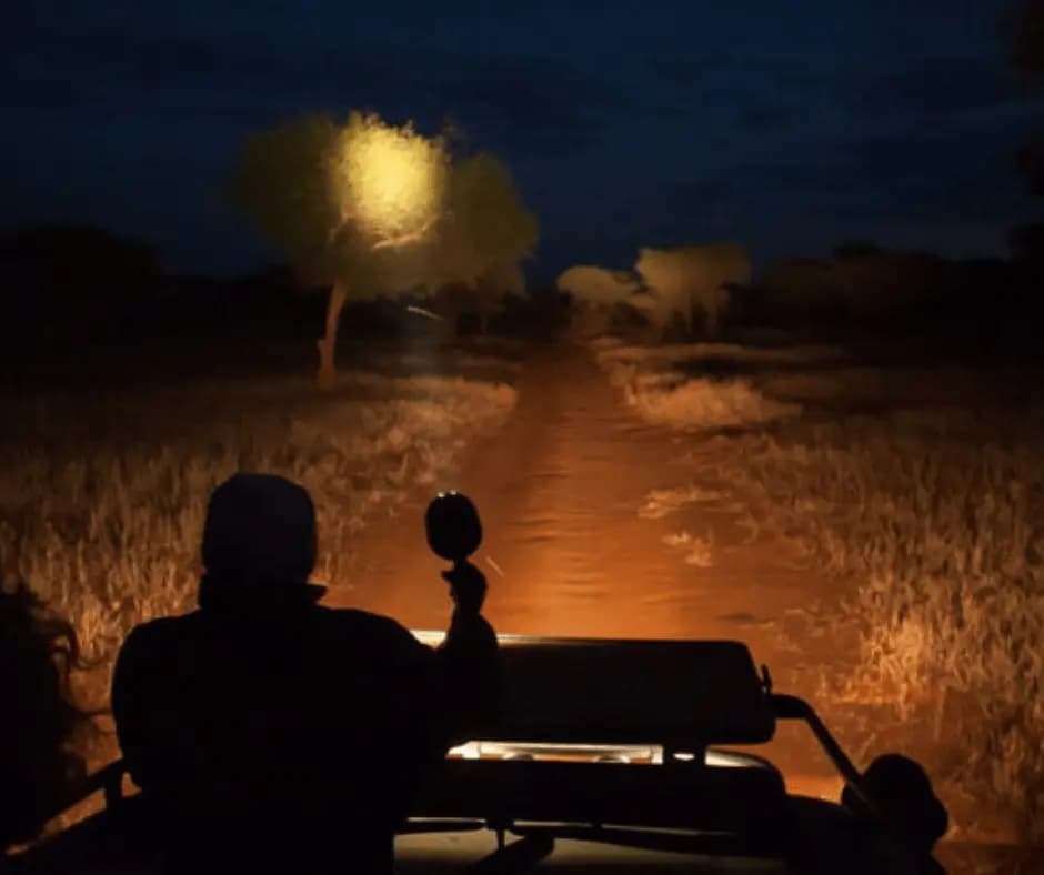 Night Game Drive