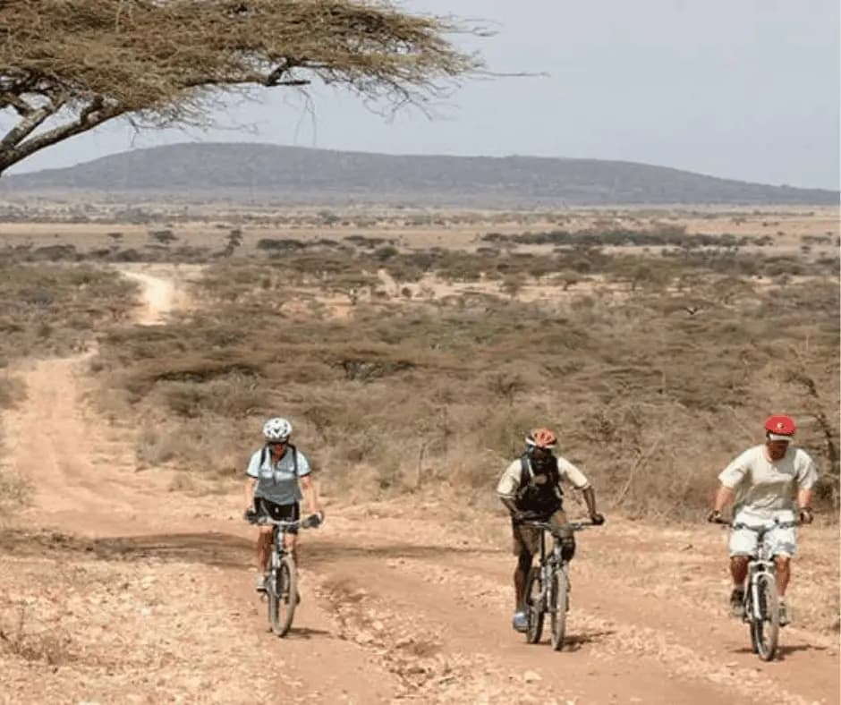  Bicycling 
