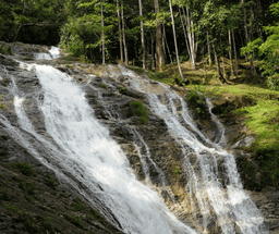 Cameron Highlands Nature & Farm Tour