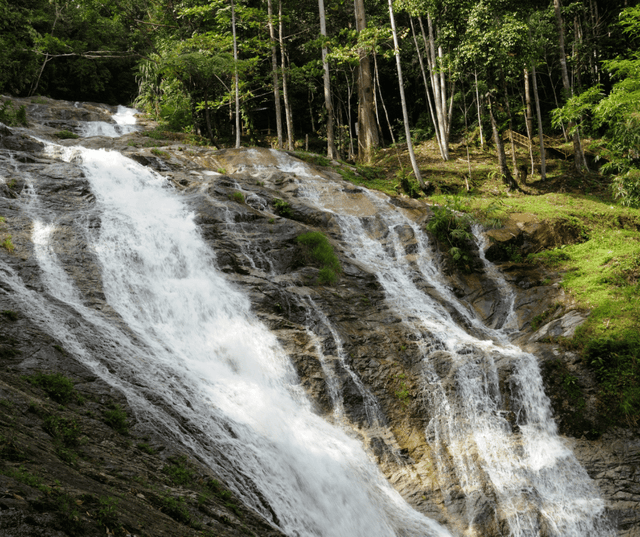Cameron Highlands Nature & Farm Tour