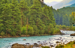Scenic Drive from Gulmarg to Pahalgam