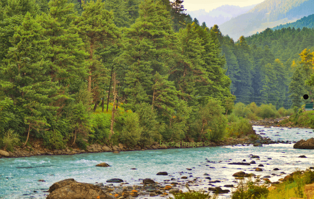 Scenic Drive from Gulmarg to Pahalgam