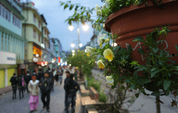 Sightseeing in Gangtok