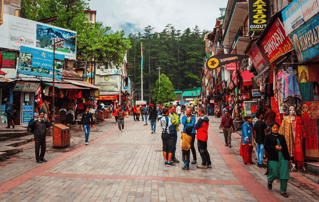 Manali Sightseeing Tour