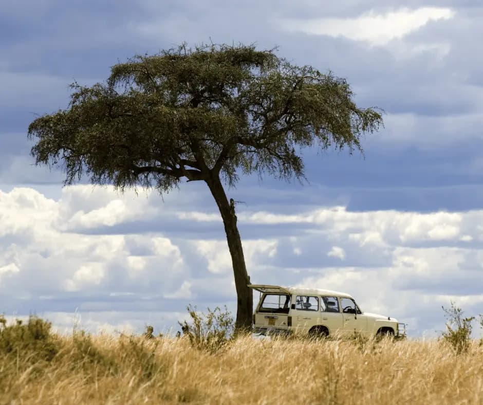 Masai Mara