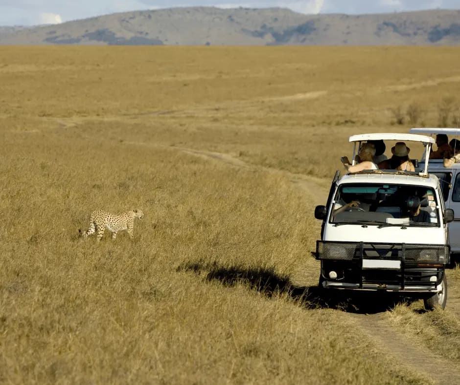 Masai Mara