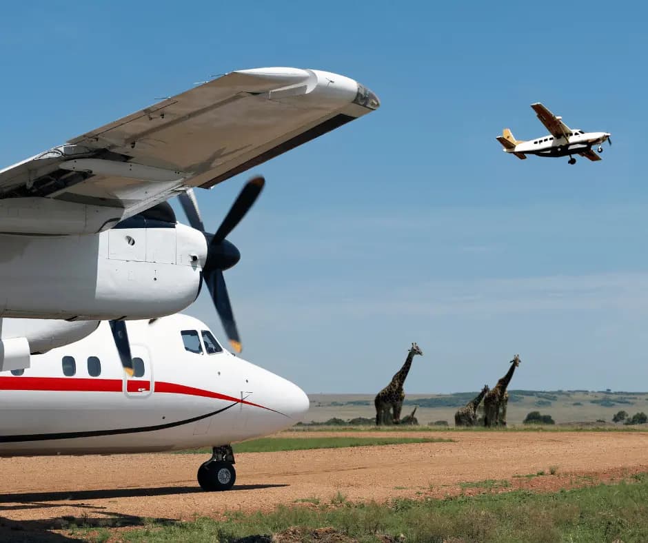 Masai Mara
