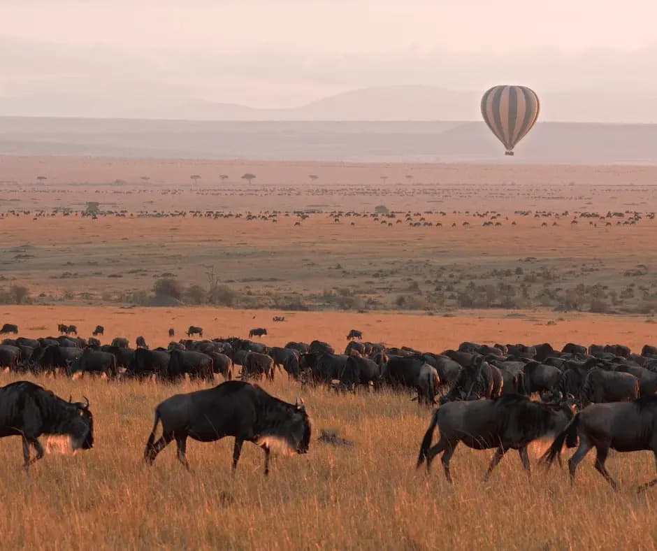 Masai Mara