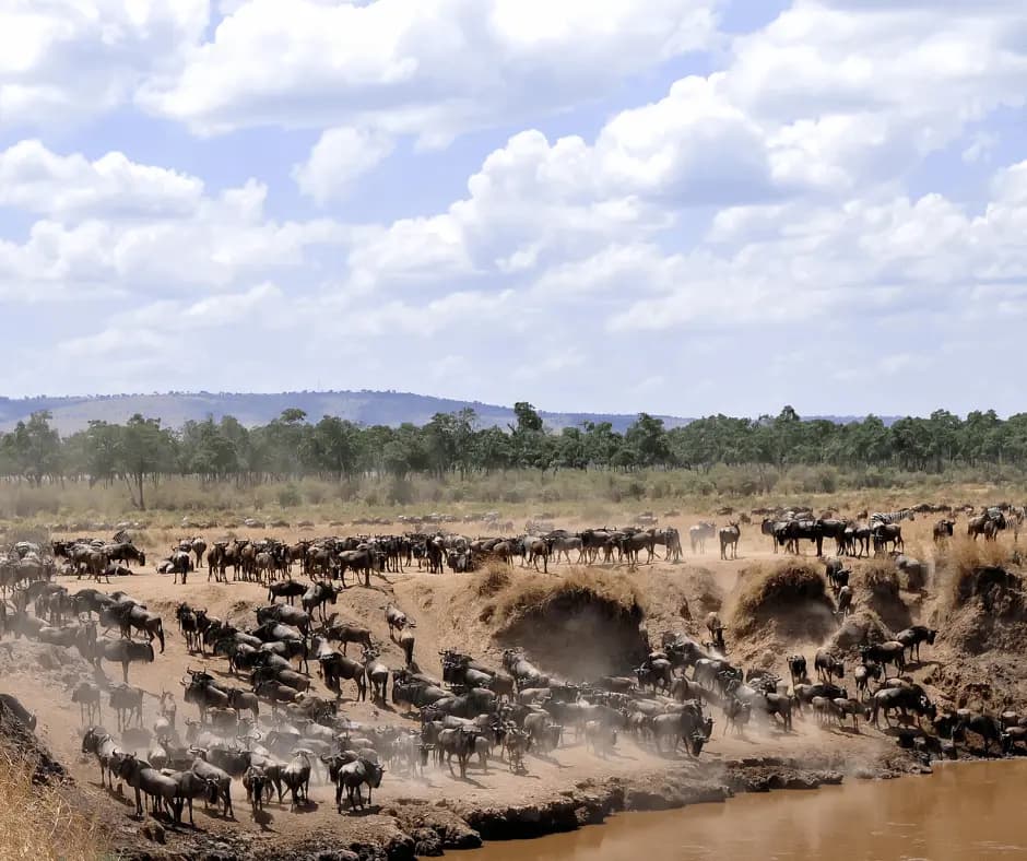 Masai Mara