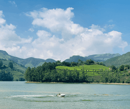 Munnar Hills & Nature Highlights Tour