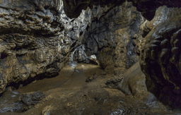 Cherrapunji Sightseeing Tour