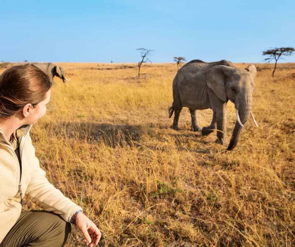 Morning Game Drive