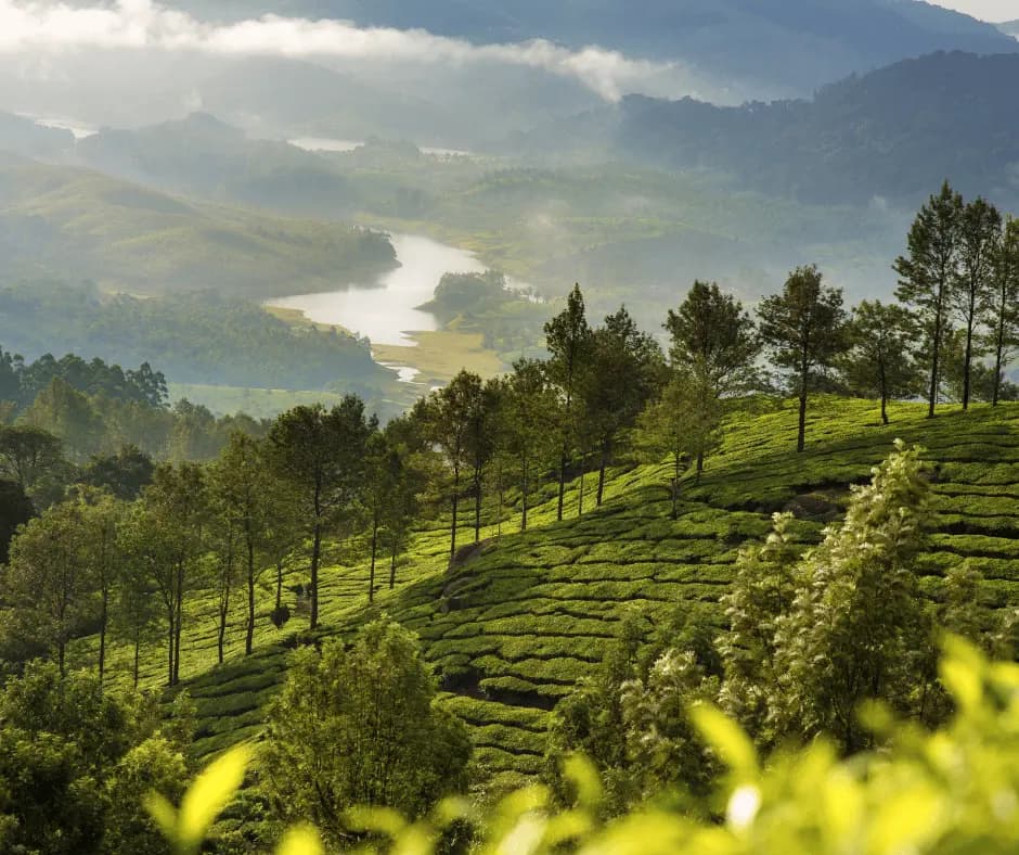 Munnar