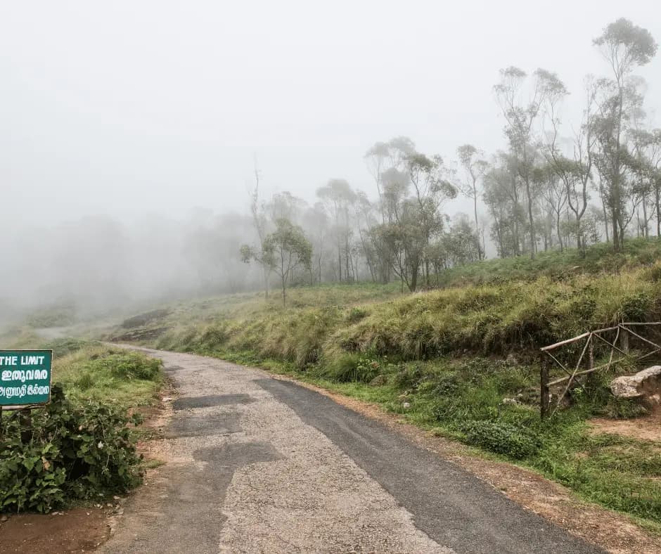 Eravikulam National Park