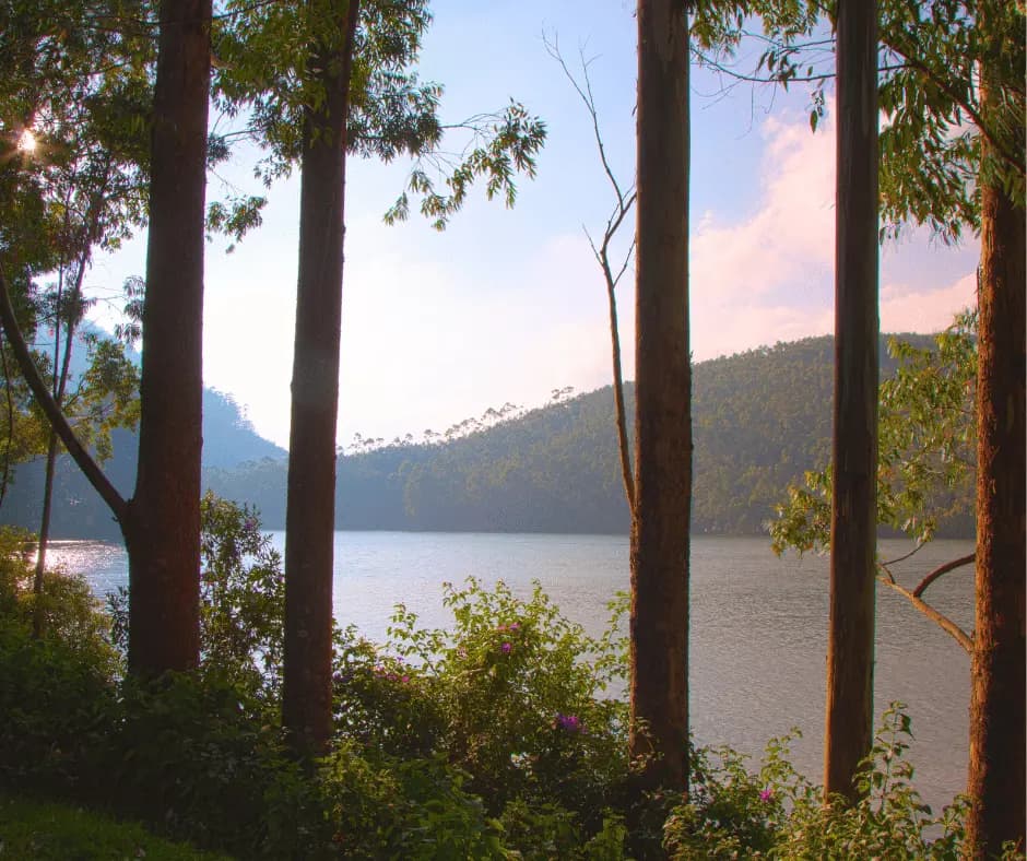 Mattupetty Dam