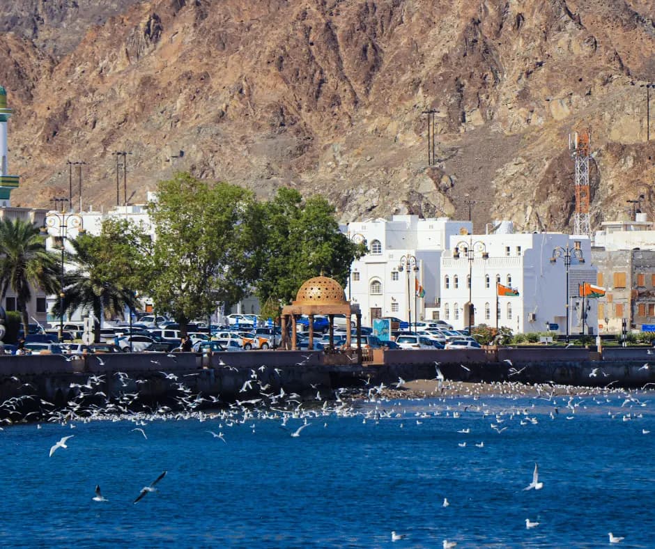 Muscat