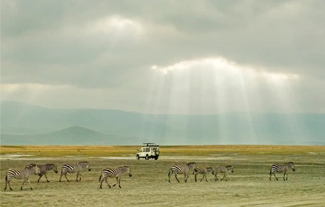 Ngorongoro