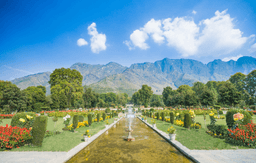 Sightseeing in Srinagar